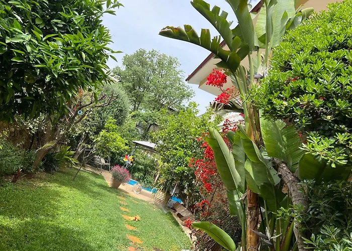 Pj Garden House